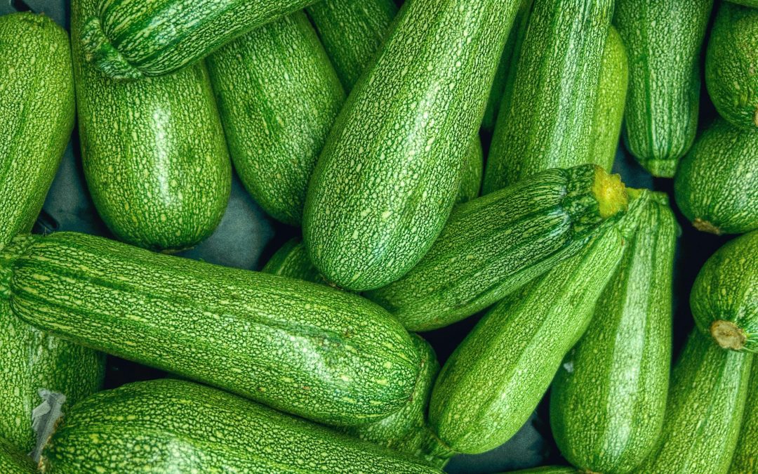 Summer Squash