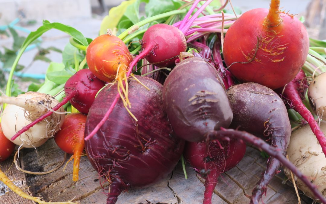 Beets